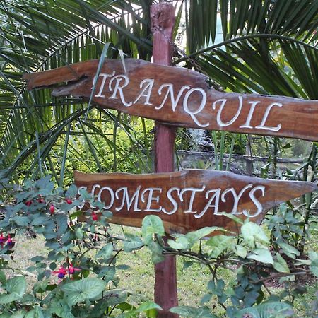 Tranquil Homestays Naro Moru Luaran gambar