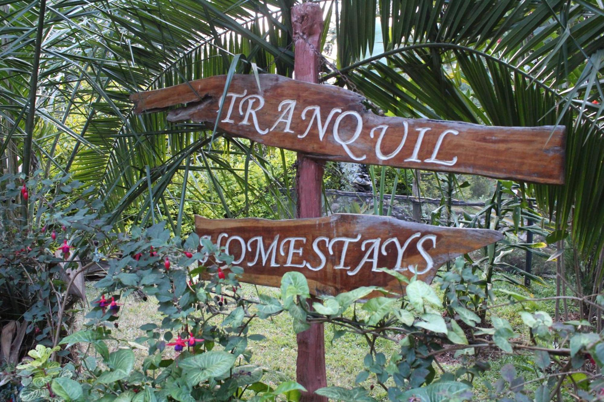 Tranquil Homestays Naro Moru Luaran gambar